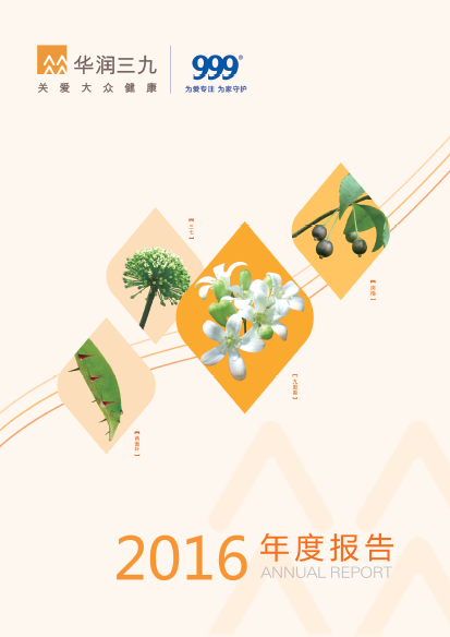 尊龙时凯：2016年年度报告